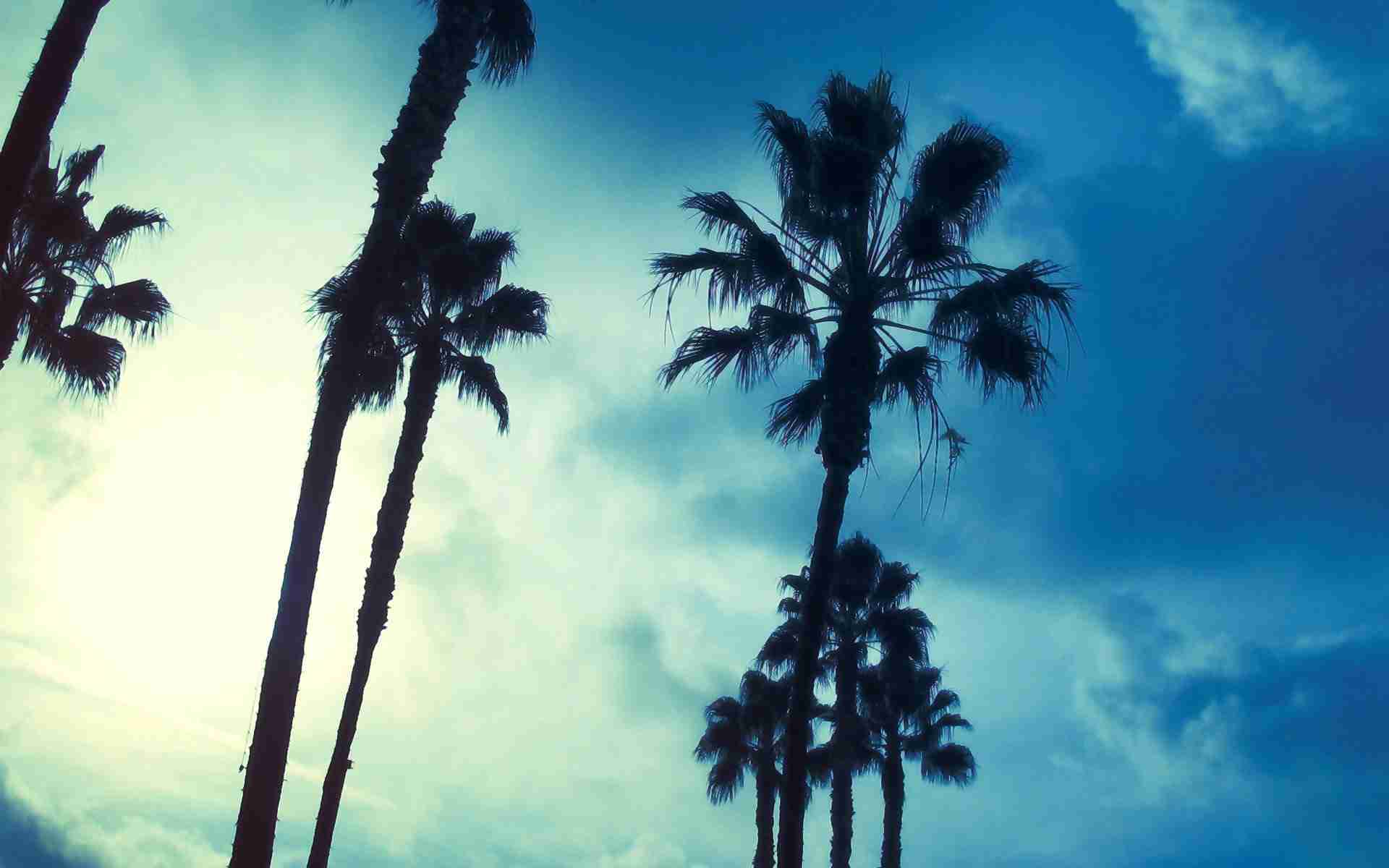 banner1